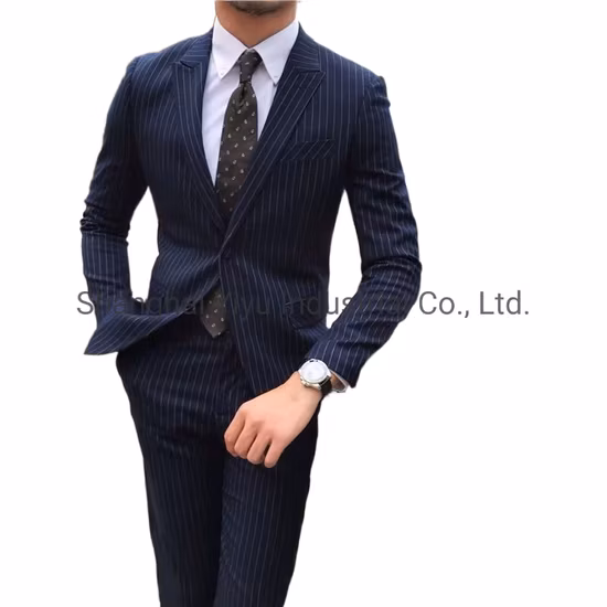 OEM 2 Piece Classic Fit Two Buttons Men′ S Business Suit